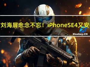 苹果对刘海屏念念不忘！iPhone SE 4又安排上了
