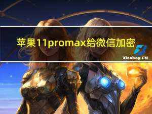 苹果11promax给微信加密（苹果11pro max微信怎么加密）