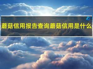 蘑菇信用报告查询 蘑菇信用是什么