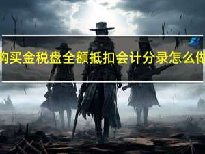 购买金税盘全额抵扣会计分录怎么做?（购买金税盘全额抵扣会计分录）