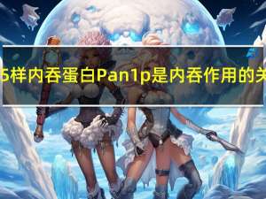 酵母Eps15样内吞蛋白Pan1p是内吞作用的关键参与者