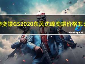 风神奕譞GS 2020东风沈峰奕譞价格怎么样