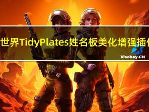 魔兽世界Tidy Plates姓名板美化增强插件 V8.0 中文汉化版（魔兽世界Tidy Plates姓名板美化增强插件 V8.0 中文汉化版功能简介）