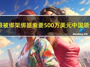 11月13日缅甸一超市中国籍老板娘被绑架绑匪索要500万美元中国领馆已对接警方处置 到底什么情况嘞