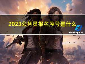 2023公务员报名序号是什么（公务员报名序号是什么）