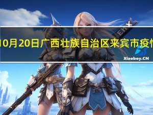 2023年10月20日广西壮族自治区来宾市疫情大数据-今日/今天疫情全网搜索最新实时消息动态情况通知播报