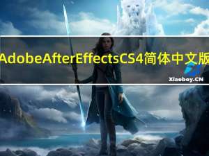 Adobe After Effects CS4 简体中文版（Adobe After Effects CS4 简体中文版功能简介）