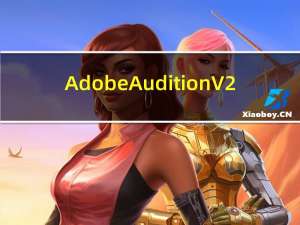 Adobe Audition V2.0 简体中文精简版（Adobe Audition V2.0 简体中文精简版功能简介）