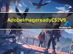 Adobe Imageready CS2 V9.0 简体中文绿色版（Adobe Imageready CS2 V9.0 简体中文绿色版功能简介）