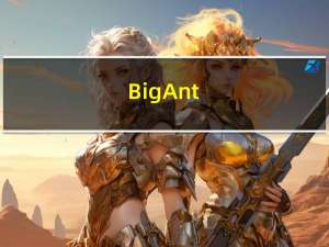 BigAnt(大蚂蚁)客户端 V5.0 官方版（BigAnt(大蚂蚁)客户端 V5.0 官方版功能简介）