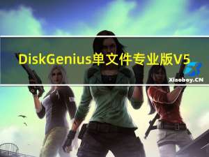 DiskGenius单文件专业版 V5.2.1 绿色免安装版（DiskGenius单文件专业版 V5.2.1 绿色免安装版功能简介）