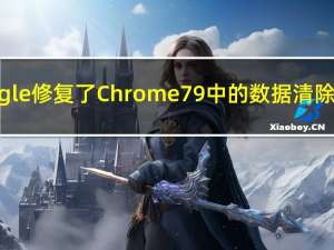 Google修复了Chrome79中的数据清除错误