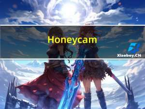 Honeycam(GIF动图制作软件) V3.50 官方最新版（Honeycam(GIF动图制作软件) V3.50 官方最新版功能简介）
