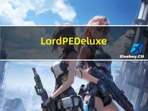 LordPE Deluxe(pe文件修改器) V2018 绿色版（LordPE Deluxe(pe文件修改器) V2018 绿色版功能简介）