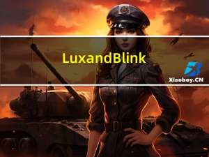 Luxand Blink! Pro (电脑人脸识别软件) V2.4 汉化破解版（Luxand Blink! Pro (电脑人脸识别软件) V2.4 汉化破解版功能简介）