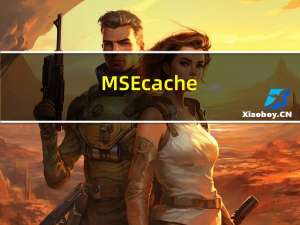 MSEcache（msocache是什么）