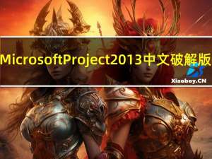 Microsoft Project 2013 中文破解版（Microsoft Project 2013 中文破解版功能简介）