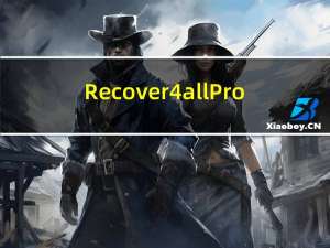 Recover4all Pro(数据恢复软件) V5.01 绿色版（Recover4all Pro(数据恢复软件) V5.01 绿色版功能简介）