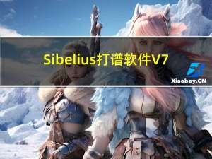 Sibelius打谱软件 V7.0.0.23 汉化破解版（Sibelius打谱软件 V7.0.0.23 汉化破解版功能简介）