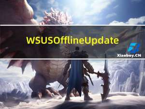 WSUS Offline Update(补丁更新下载器) V11.7 绿色免费版（WSUS Offline Update(补丁更新下载器) V11.7 绿色免费版功能简介）