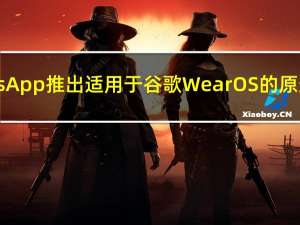 WhatsApp推出适用于谷歌Wear OS的原生应用