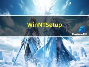 WinNTSetup(系统安装器) V4.6.1 官方正式版（WinNTSetup(系统安装器) V4.6.1 官方正式版功能简介）