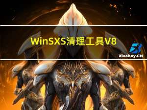 WinSXS清理工具 V8.19 官方版（WinSXS清理工具 V8.19 官方版功能简介）