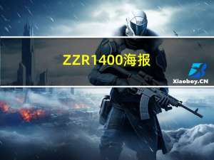 ZZR1400海报（zzr1400）