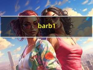 barb1（Baru BD-007H SE简介）