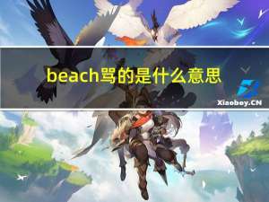 beach骂的是什么意思（beach骂人的意思）