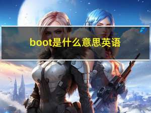 boot是什么意思英语（boods）