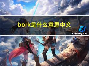bork是什么意思中文（boomshake什么意思）