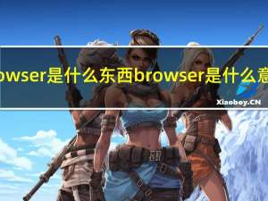 browser是什么东西 browser是什么意思