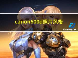 canon600d照片风格（canon600d说明书）