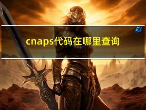 cnaps代码在哪里查询（cnaps）