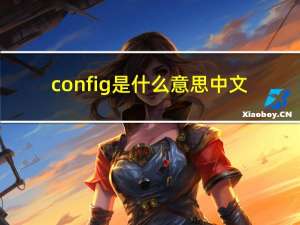 config是什么意思中文（config是什么意思）