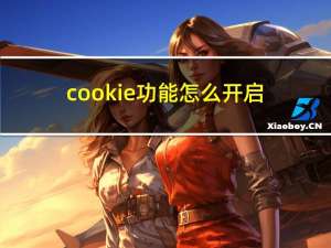 cookie功能怎么开启（cookie）
