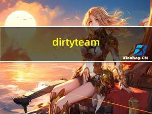 dirty team（dirt2存档）