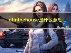 dt in the house是什么意思