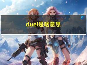 duel是啥意思（dual wield是什么意思）