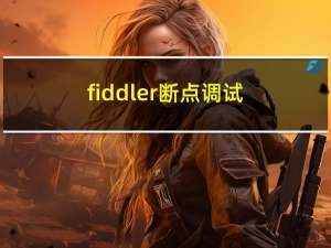 fiddler断点调试（关于fiddler断点调试的介绍）