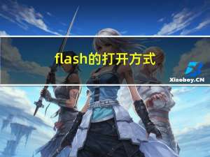 flash的打开方式（flash打开方式）