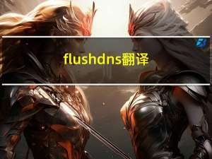 flushdns翻译（flushdns）