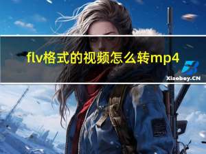 flv格式的视频怎么转mp4（flv格式的视频）