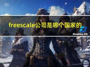 freescale公司是哪个国家的（freescale中国官网）