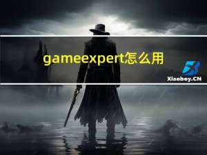 game expert怎么用（game expert）