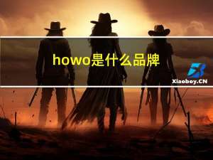 howo是什么品牌（howo是什么牌子的车）