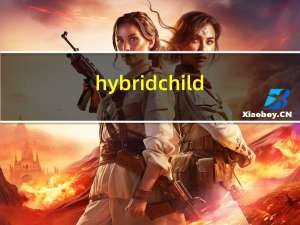 hybrid child（关于hybrid child的介绍）