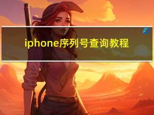 iphone序列号查询教程（iphone序列号查询激活时间）