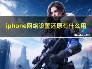 iphone网络设置还原有什么用（iphone网络设置）